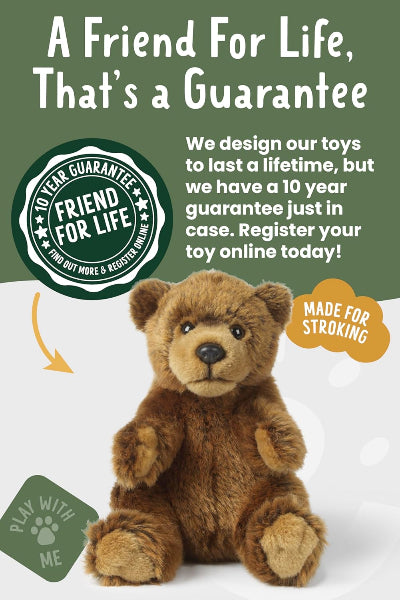 Brown teddy bear with promotional text and graphics on a white background