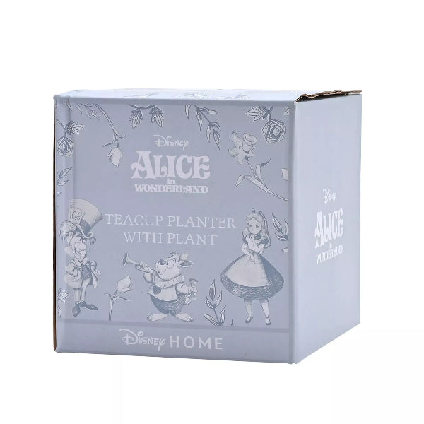 Box for a Disney Alice in Wonderland teacup planter with plant on a white background