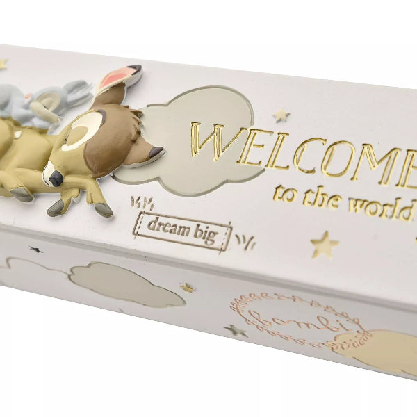 Baby shower gift box with a deer design and 'Welcome to the world' text on a white background