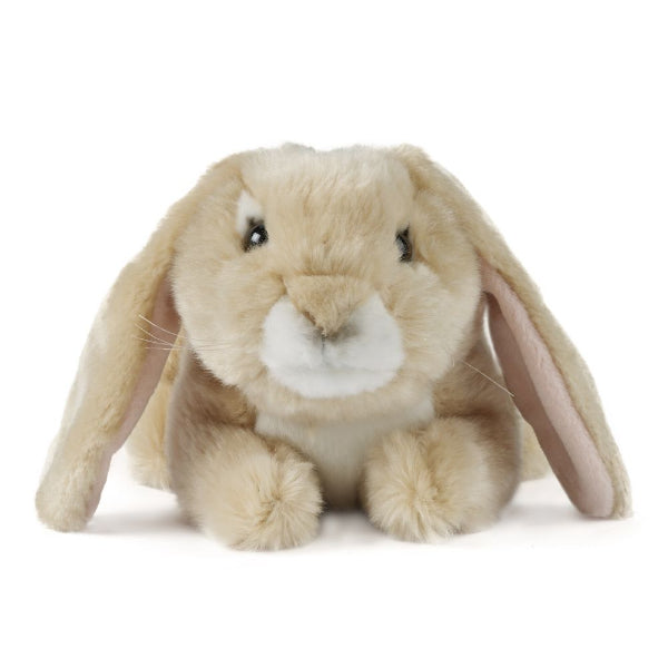 A plush toy rabbit with long floppy ears, cream and light tan fur, and a white muzzle, photographed against a plain white background.