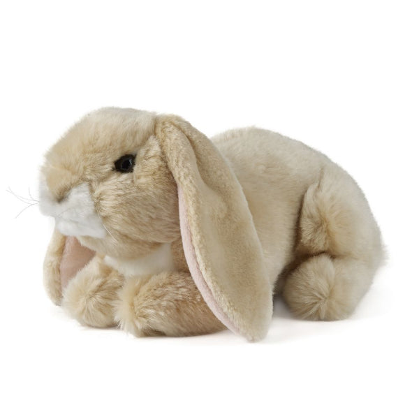 Plush toy rabbit on a white background