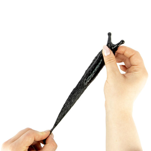 Person holding a black slug with white background